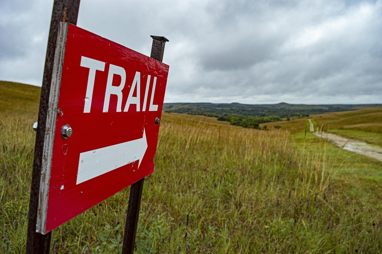 trail e campo verdejante