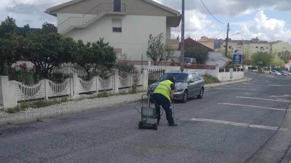 Desbaratização e desratização