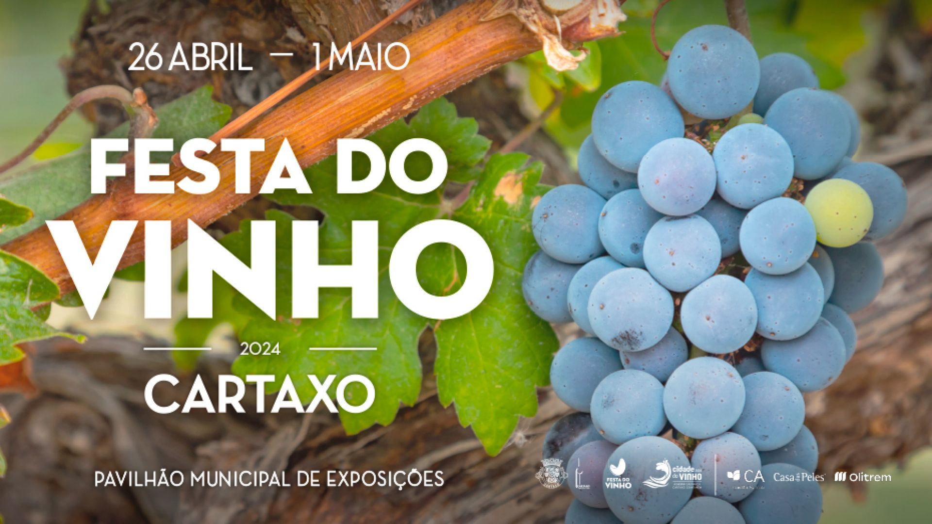 Programa Festa do Vinho do Cartaxo