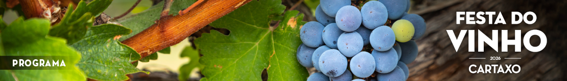 Festa do Vinho 2026