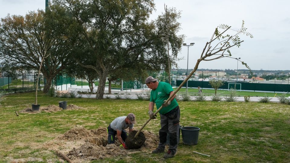 Celebração antecipada do Dia Mundial da Árvore