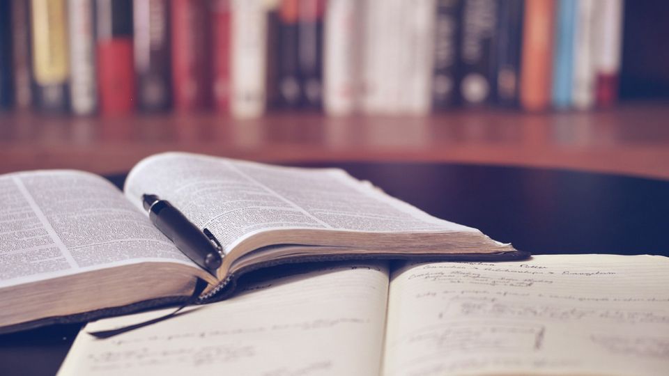 Câmara do Cartaxo reforça investimento na formação dos colaboradores