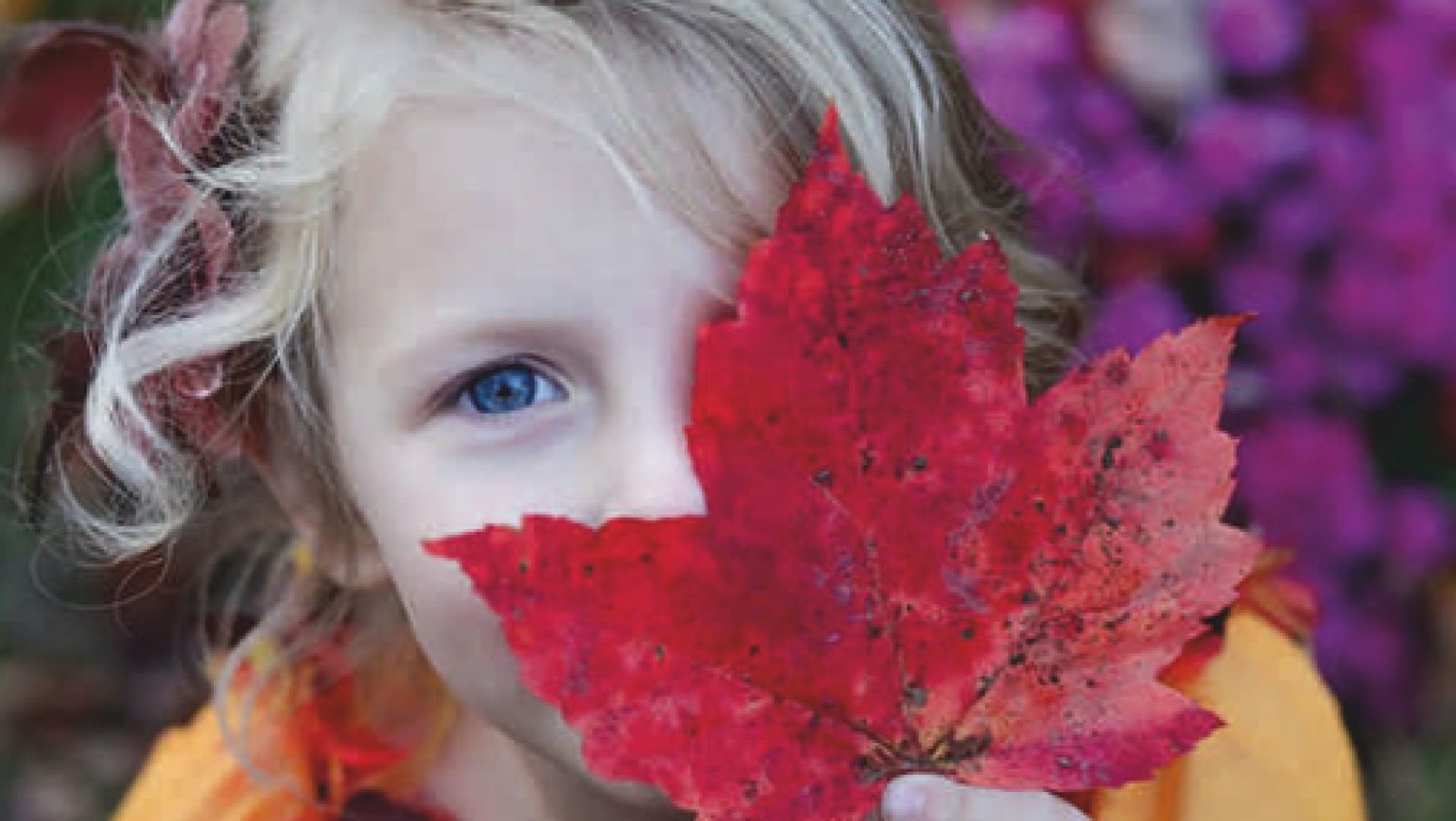 Academia de Inteligência Emocional