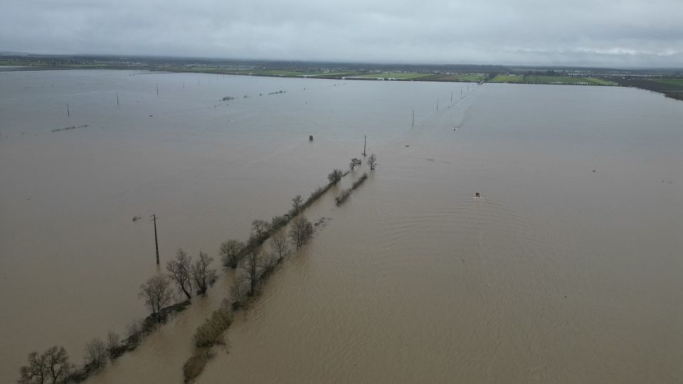 Informação sobre apoios a explorações agrícolas afetadas pelas condições meteorológicas adversas